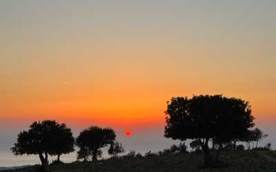 Z Pafos do wąwozu Avakas Kanyon [33]